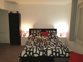 Appartement centre ville proche Paris Disney Vincennes transports, Joinville-Le-Pont